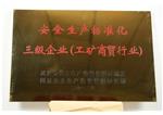 2012 安全生產標準化三級企業(yè)